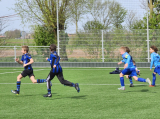 S.K.N.W.K. JO11-1JM - ST FC De Westhoek '20/Z.S.C. '62 JO11-3 (competitie) 2023-2024 (4e fase) (147/178)